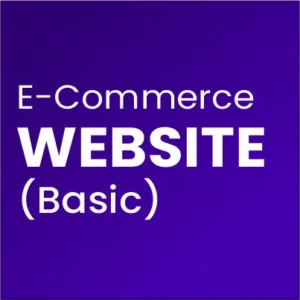 e-commerce website (Basic)